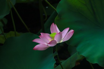 001