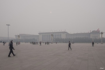 _XCE2481 PS_1