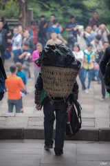_CHE0867 PS