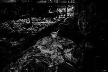 _XCE5175 PS