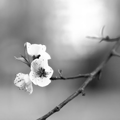 20160323_0228 拷贝