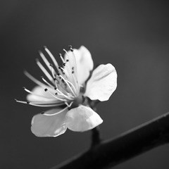 20160323_0261 