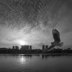 20160110_5838