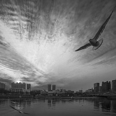 20160110_5905