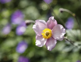 20160618_7200 拷贝