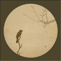 _I5A7876 拷贝2 拷贝