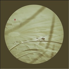 _I5A7423 拷贝2 拷贝