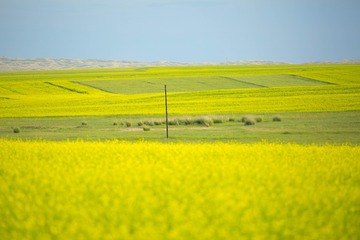 OB7A1404