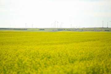 OB7A1448