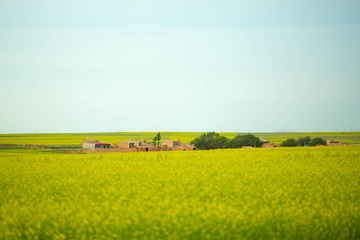 OB7A1463