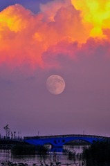 _DSC0055