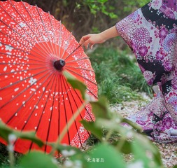 DSC08289ps2