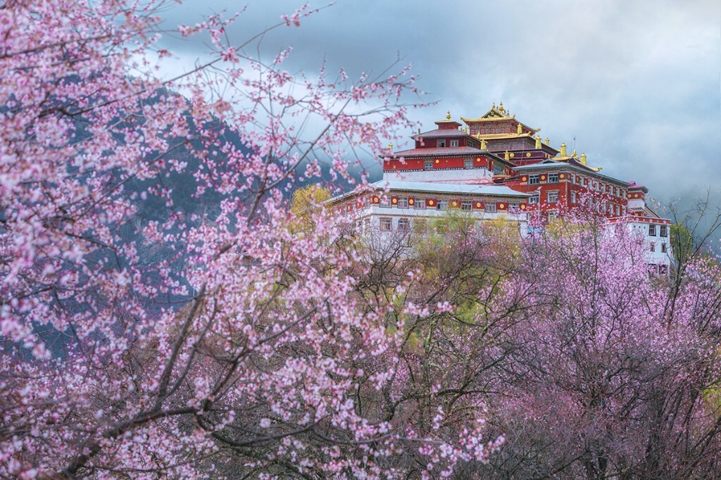 山寺桃花始盛开