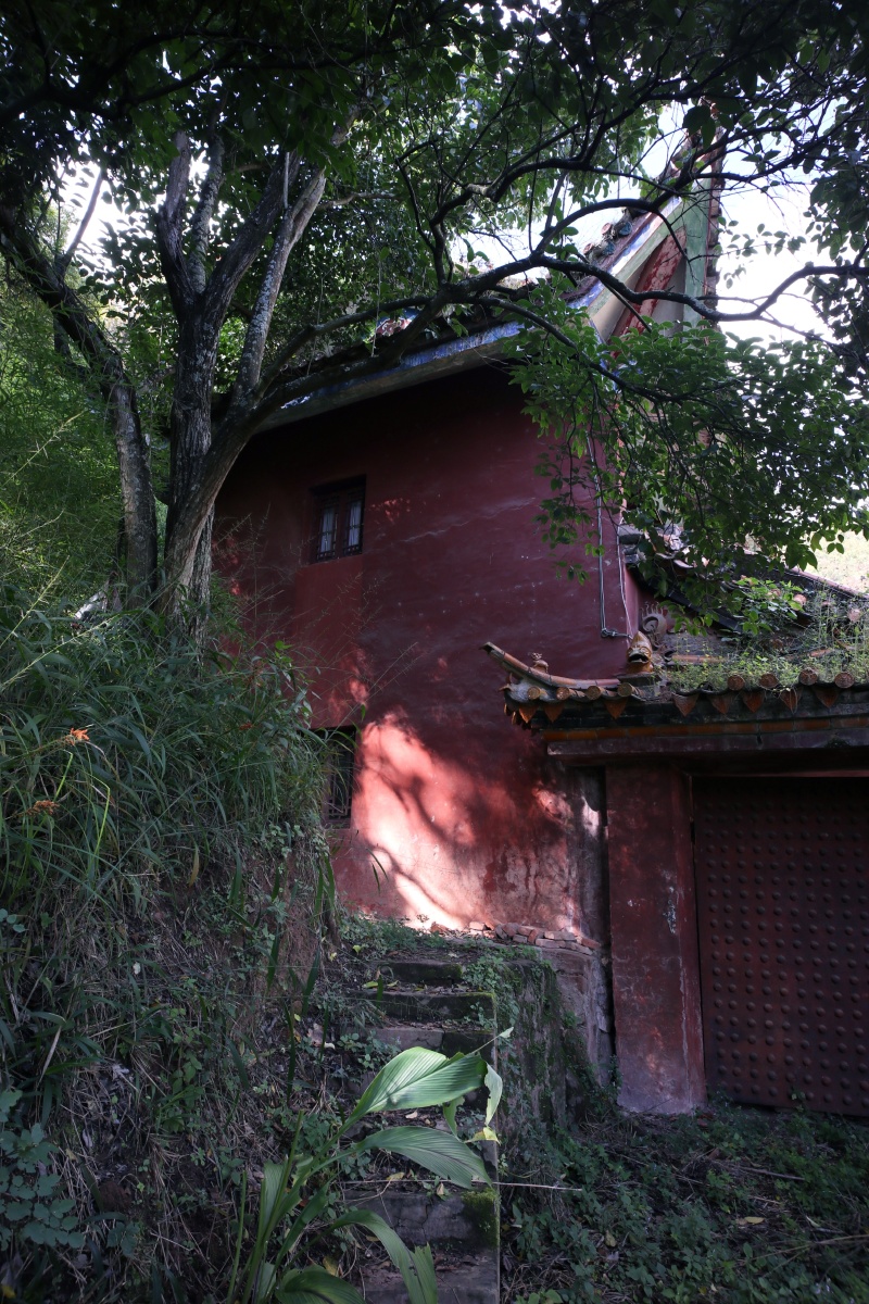 山中藏古寺