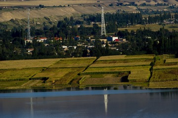 _DSC0720