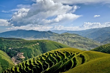 白日山
