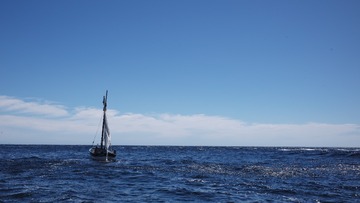 L1006830