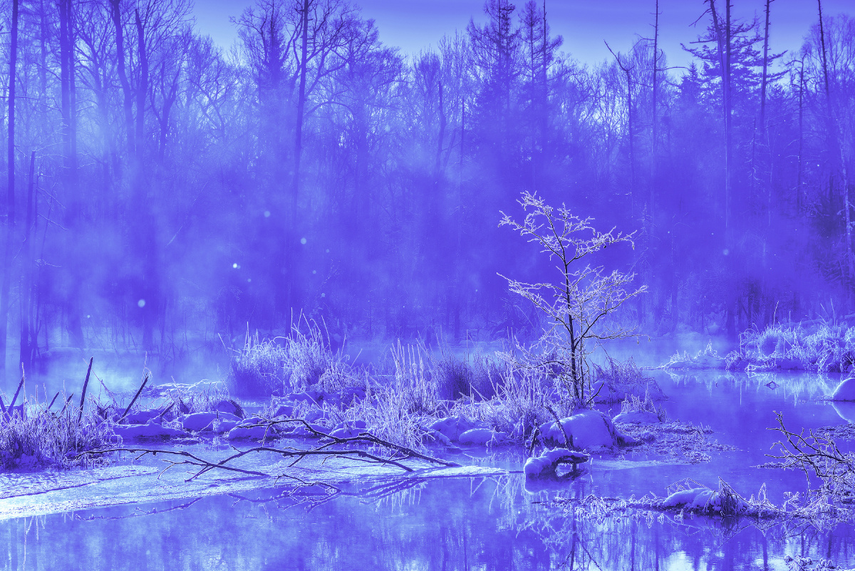 照片描述蓝冷调更有"寒意"