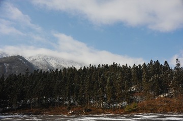 DSC_8004