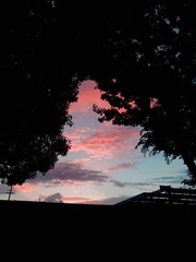 1620393