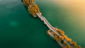 绿洲上的桥