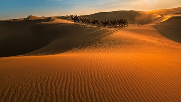 “_DSC0652”为智能对象-1