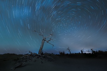 “_P2A0438”为智能对象-3