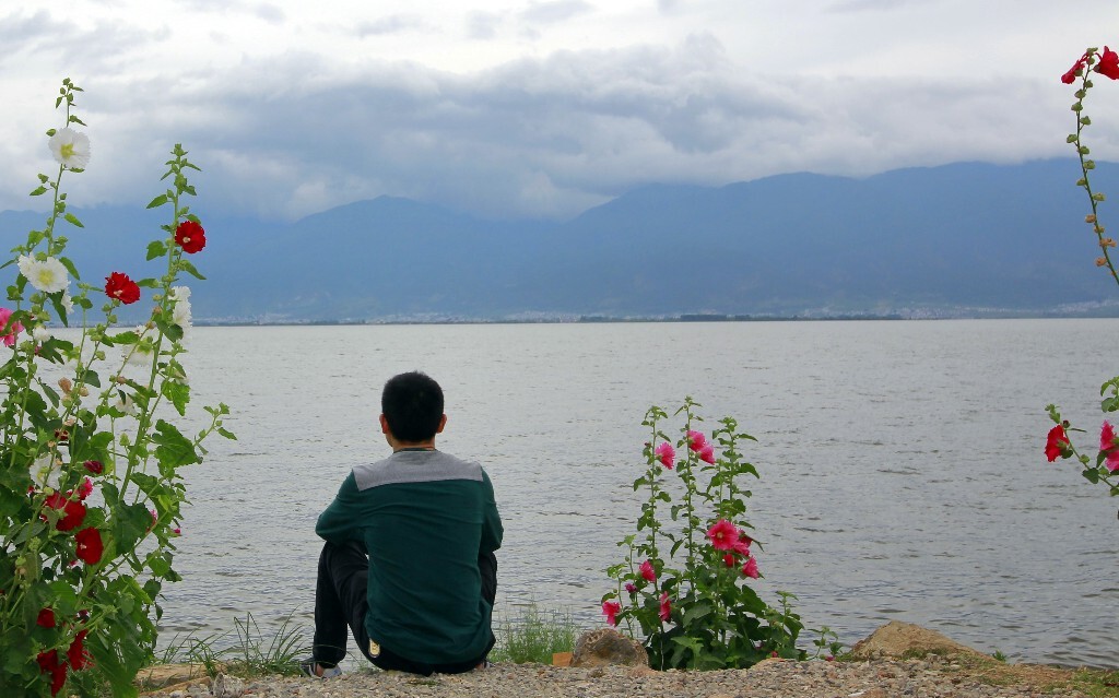 2016年6月24日，云南省大理市洱海，游人坐在岸边，面朝洱海、陌上花开；远眺苍山、近观洱海、细听涛声。   