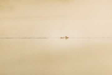 _MG_0581 拷贝