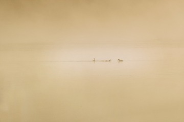 _MG_0589 拷贝
