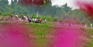 pbu459185_04