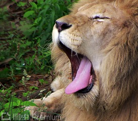 _MG_2640.jpg-