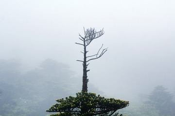 _MG_3427.jpg-