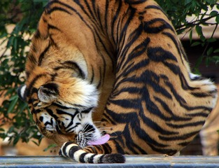 _MG_2669.jpg-