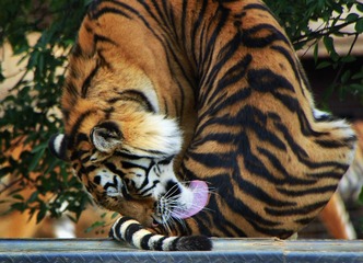 _MG_2668.jpg-