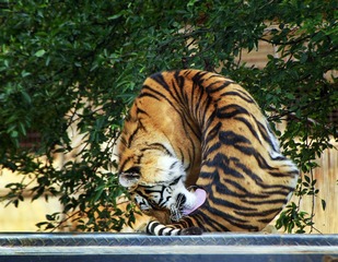 _MG_2664.jpg-