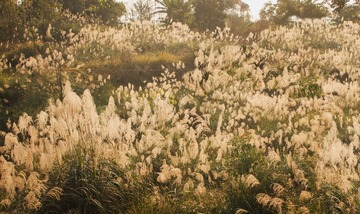 _MG_0539.jpg+