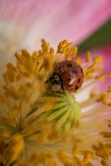 2018_05_09_70757_LR