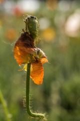 2018_05_10_71191_LR