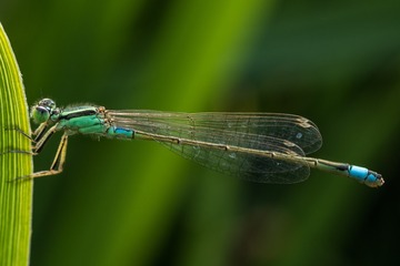 2018_05_12_72135_LR