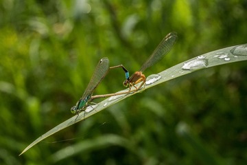 2018_05_12_71998_LR
