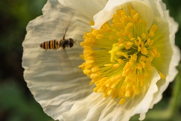 2018_05_13_73488_LR