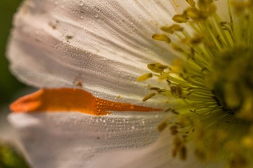 2018_05_13_73752_LR