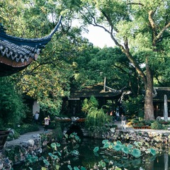 醉白池.99-5954