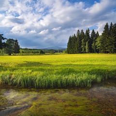 _DSC0073