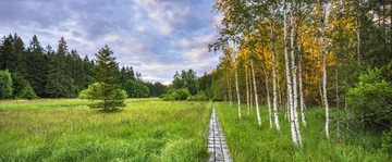 _DSC0093