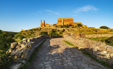 _DSC9991