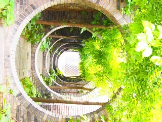 P1011179