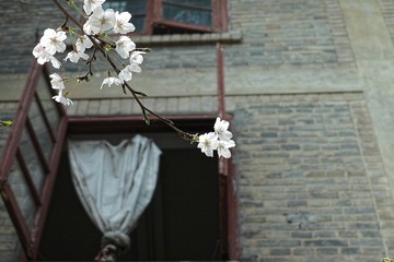 樱花城堡_DxO