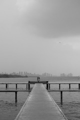 09E43F2B-F52F-4B83-AF5D-06284D5B07FE/L0/001